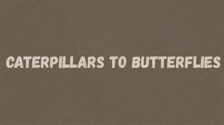Lyrics & Translations of Caterpillars To Butterflies by Yungeen Ace