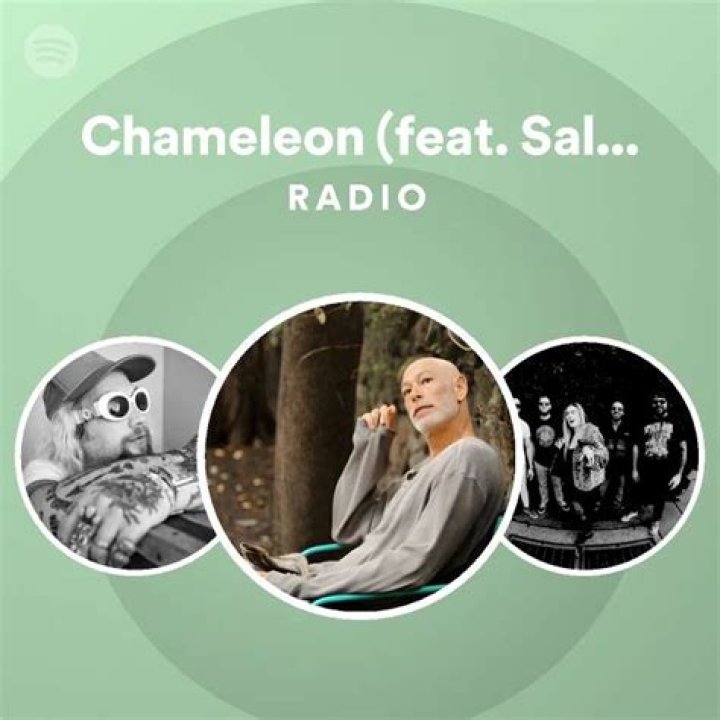 Lyrics & Translations of Chameleon by Salt Cathedral