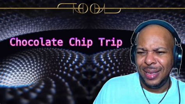 Lyrics & Translations of Chocolate Chip Trip by Tool