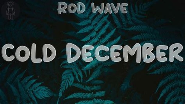 Lyrics & Translations of Cold Decembers by Rod Wave