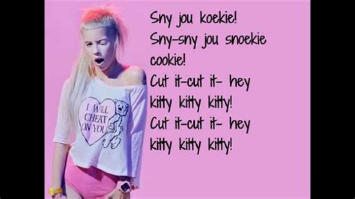 Lyrics & Translations of Cookie Thumper by Die Antwoord