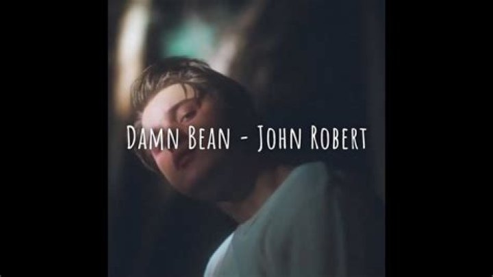 Lyrics & Translations of Damn Bean by John-Robert