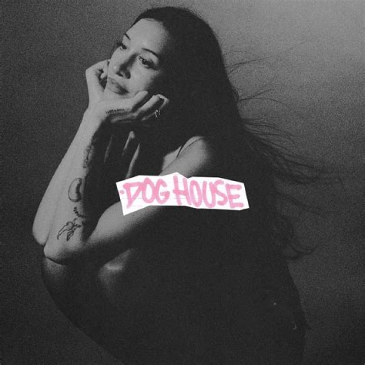 Lyrics & Translations of Dog House by Yelawolf