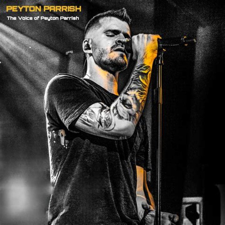 Lyrics & Translations of Draugr by Peyton Parrish