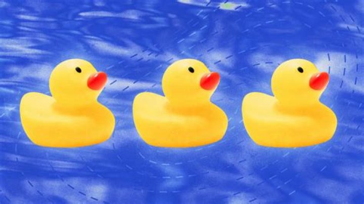 Lyrics & Translations of Ducking The Law by Loyal Duce