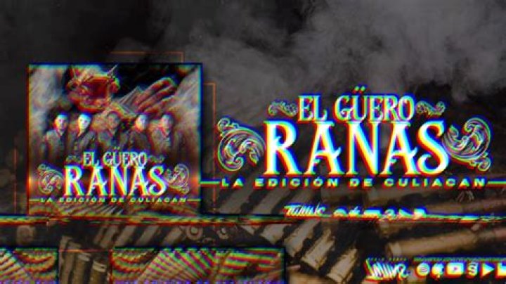 Lyrics & Translations of El Guero Ranas by La Edicion De Culiacan