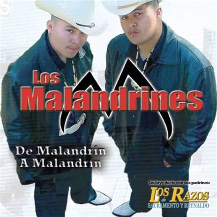 Lyrics & Translations of El Malandrin by Los Del Arroyo