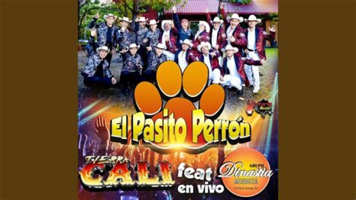 Lyrics & Translations of El Pasito Perron by Tierra Cali