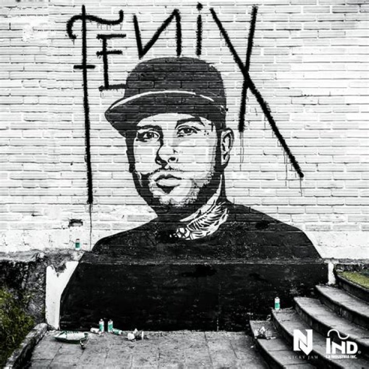 Lyrics & Translations of Estrella by Nicky Jam