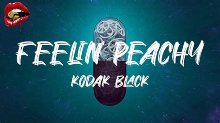 Lyrics & Translations of Feelin Peachy by Kodak Black