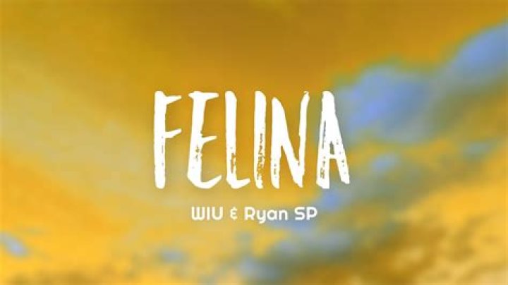 Lyrics & Translations of Felina by Mc Ryan Sp & Wiu