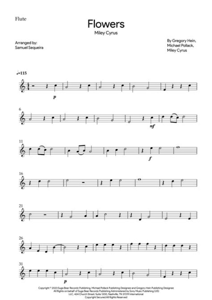 Lyrics & Translations of Flowers On The Wall by Home Free