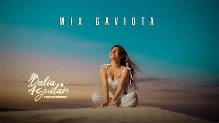 Lyrics & Translations of Gaviota Traidora by Majo Aguilar