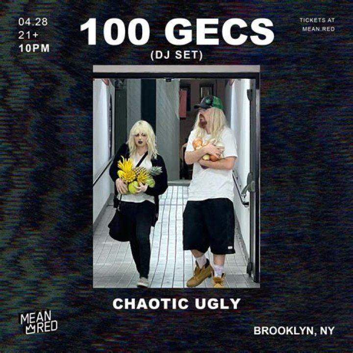 Lyrics & Translations of Gecgecgec (Remix) by 100 Gecs