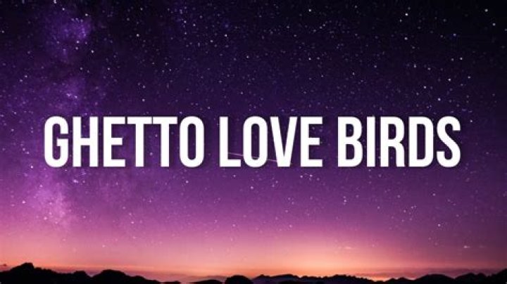 Lyrics & Translations of Ghetto Love Birds by A-Boogie Wit Da Hoodie & Yung Bleu