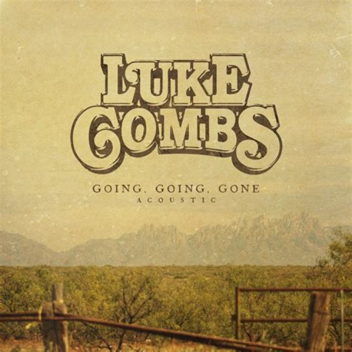 Lyrics & Translations of Going, Going, Gone by Luke Combs
