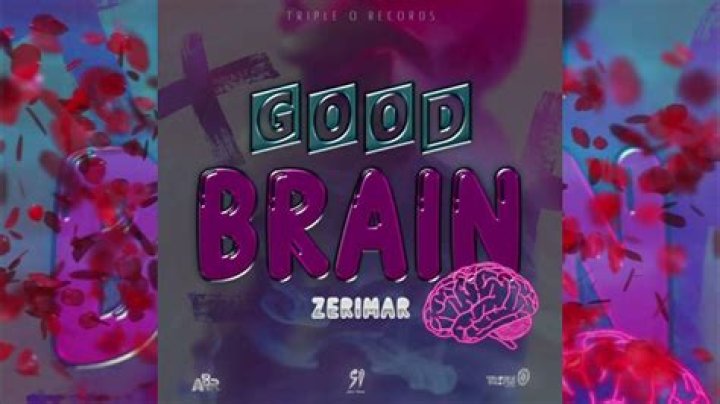 Lyrics & Translations of Good Brain by Zerimar
