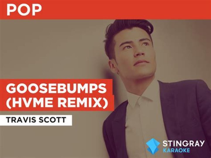 Lyrics & Translations of Goosebumps by Hvme