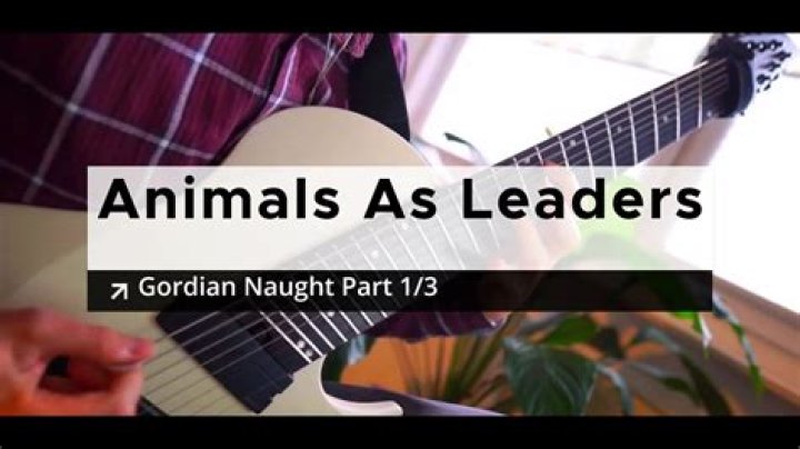 Lyrics & Translations of Gordian Naught by Animals As Leaders