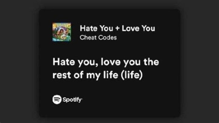 Lyrics & Translations of Hate You + Love You by Cheat Codes