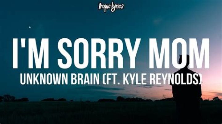 Lyrics & Translations of I'm Sorry Mom by Unknown Brain