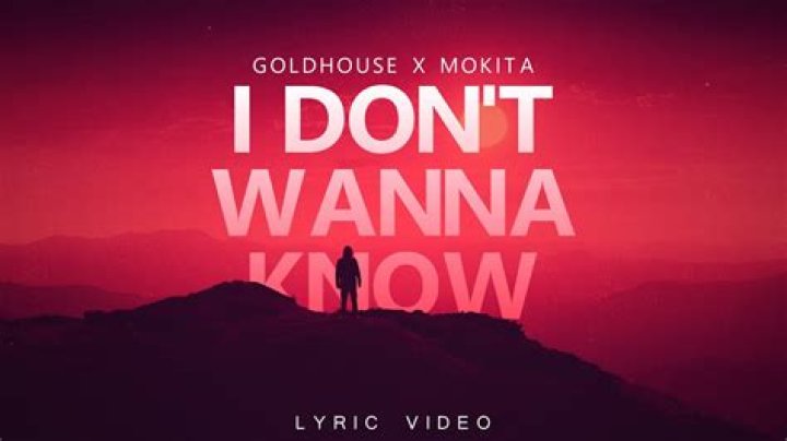 Lyrics & Translations of I Don't Wanna Know by Goldhouse & Mokita