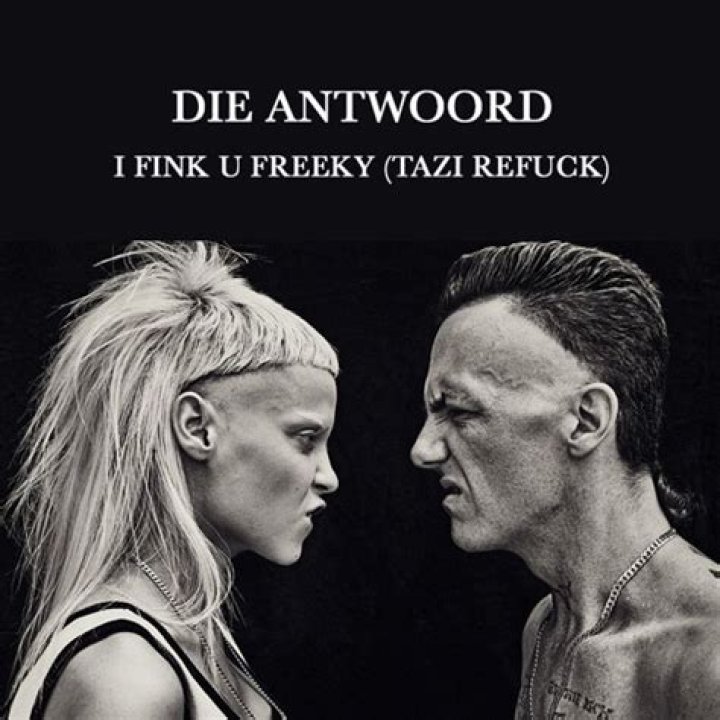 Lyrics & Translations of I Fink U Freeky by Die Antwoord