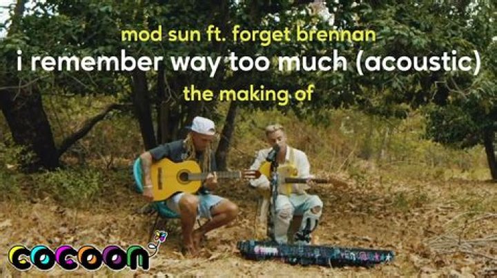 Lyrics & Translations of I Remember Way Too Much by Mod Sun
