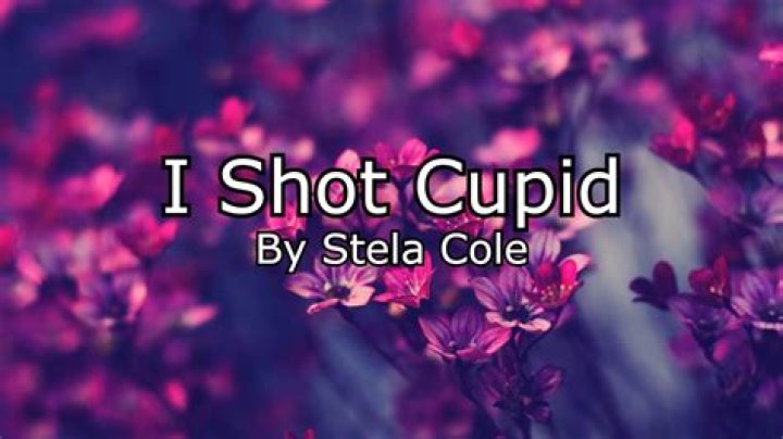Lyrics & Translations of I Shot Cupid by Stela Cole