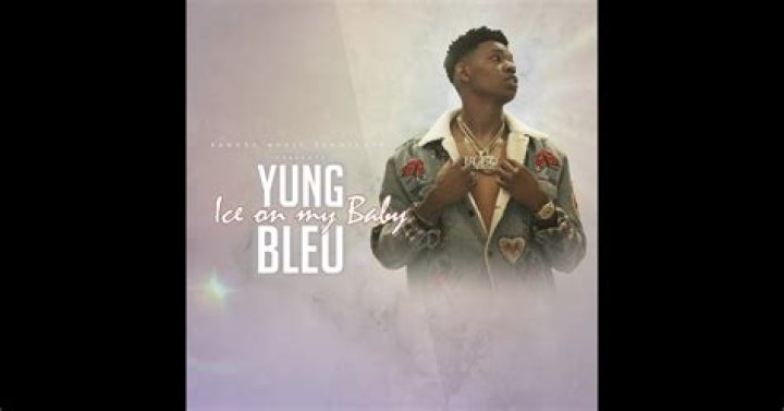 Lyrics & Translations of Ice On My Baby (Remix) by Yung Bleu