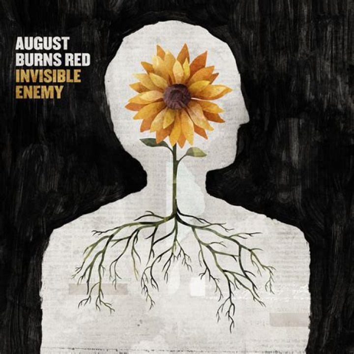 Lyrics & Translations of Invisible Enemy by August Burns Red