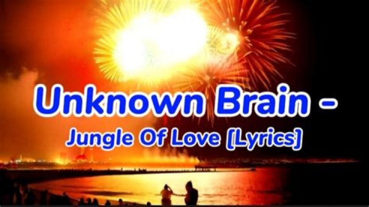Lyrics & Translations of Jungle Of Love by Unknown Brain