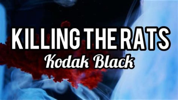 Lyrics & Translations of Killing The Rats by Kodak Black