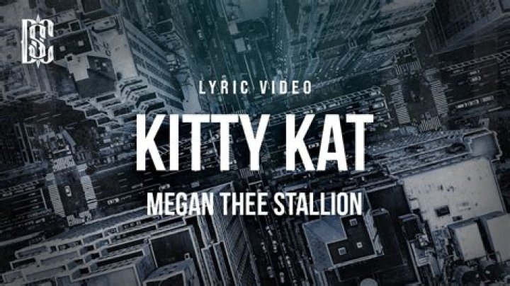 Lyrics & Translations of Kitty Kat by Megan Thee Stallion