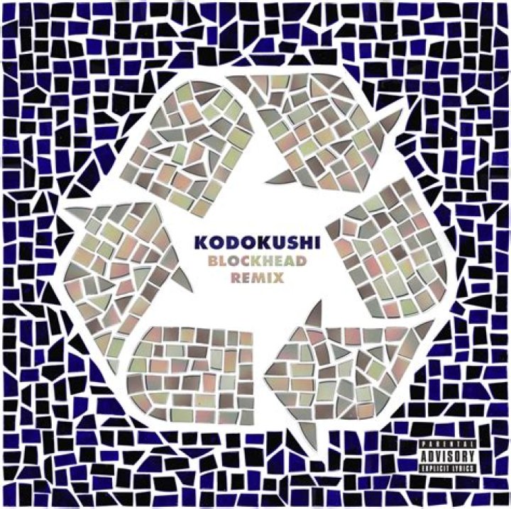 Lyrics & Translations of Kodokushi by Aesop Rock