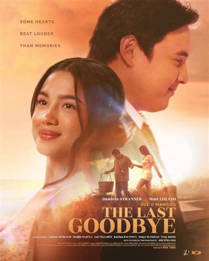 Lyrics & Translations of Last Goodbye by David Morris