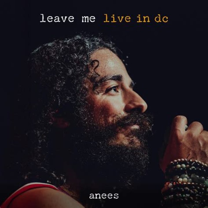 Lyrics & Translations of Leave Me by Anees