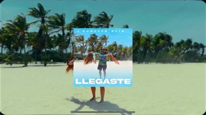 Lyrics & Translations of Llegaste by Gustavo Elis