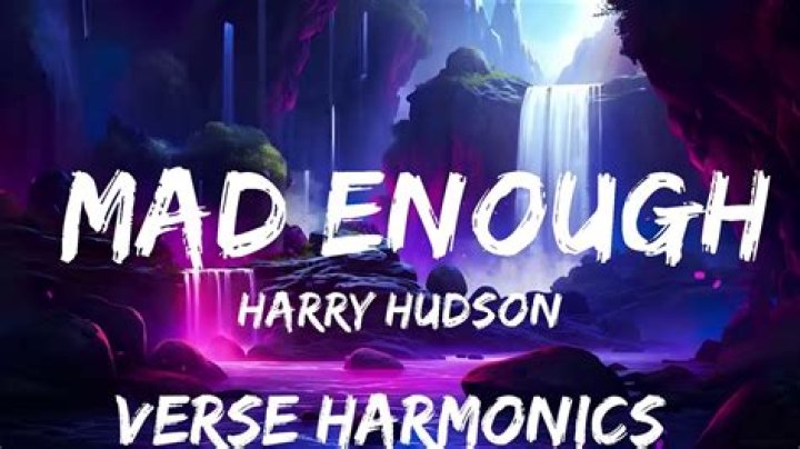 Lyrics & Translations of Mad Enough by Harry Hudson