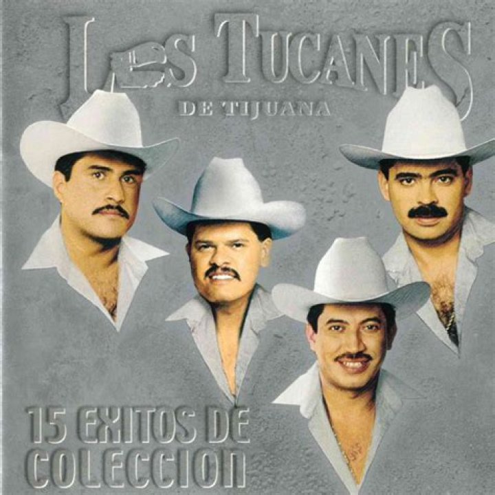 Lyrics & Translations of Madre Soltera by Los Tucanes De Tijuana