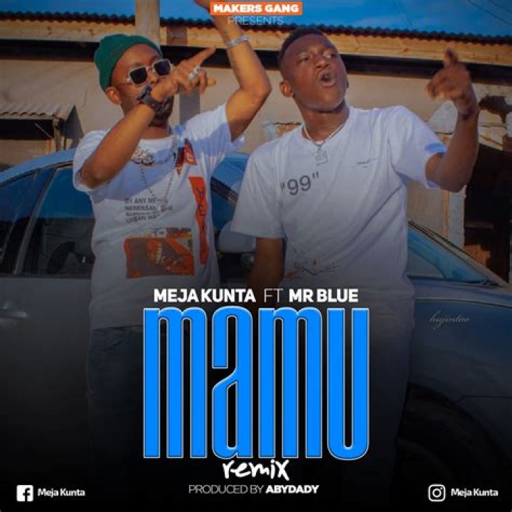 Lyrics & Translations of Mamu Remix by Mr Blue & Meja Kunta
