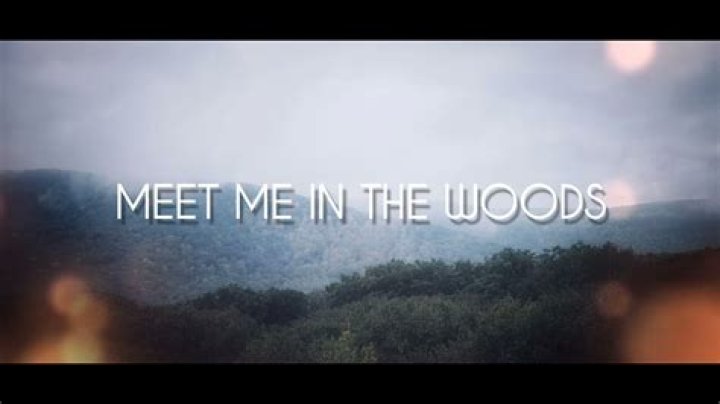 Lyrics & Translations of Meet Me In The Woods by Lord Huron