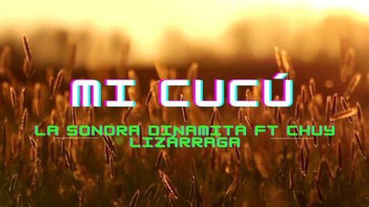 Lyrics & Translations of Mi Cucú by La Sonora Dinamita