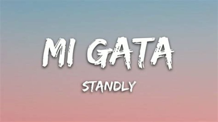 Lyrics & Translations of Mi Gata by Standly