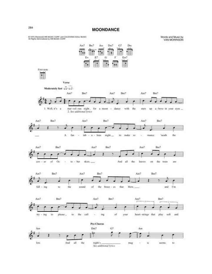 Lyrics & Translations of Moondance by Saxsquatch