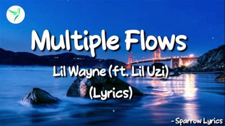 Lyrics & Translations of Multiple Flows by Lil Wayne & Lil Uzi Vert