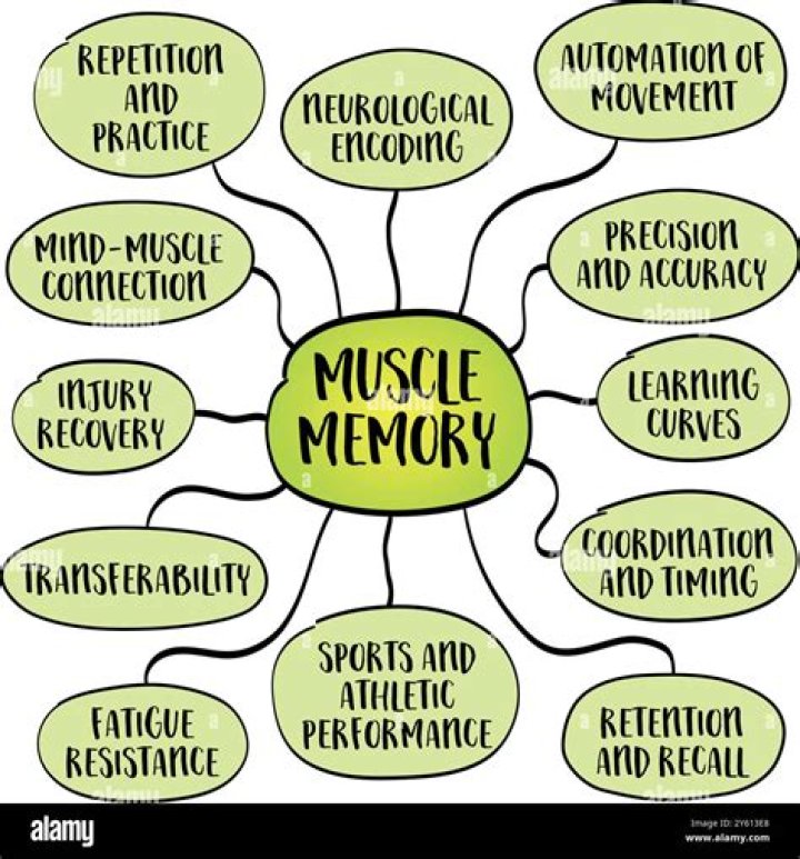 Lyrics & Translations of Muscle Memory by Tatiana Manaois