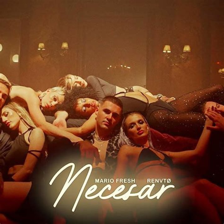 Lyrics & Translations of Necesar by Mario Fresh