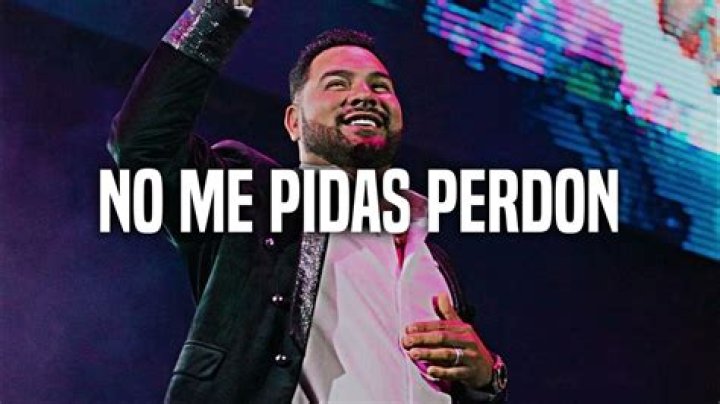 Lyrics & Translations of No Me Pidas Perdon by Banda Ms / Banda Sinaloense Ms De Sergio Lizárraga