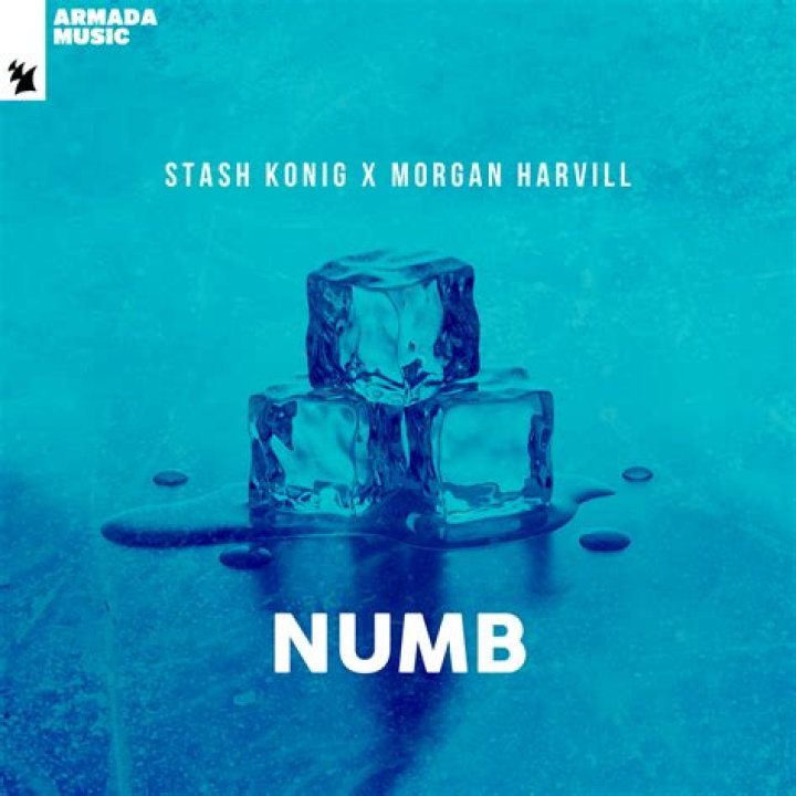 Lyrics & Translations of Numb by Stash Konig
